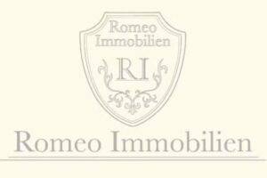 Romeo Immobilien Danny Seja