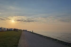 Rose Ferienhausvermietung