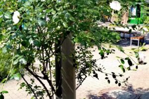 Rosenkilde Immobilien