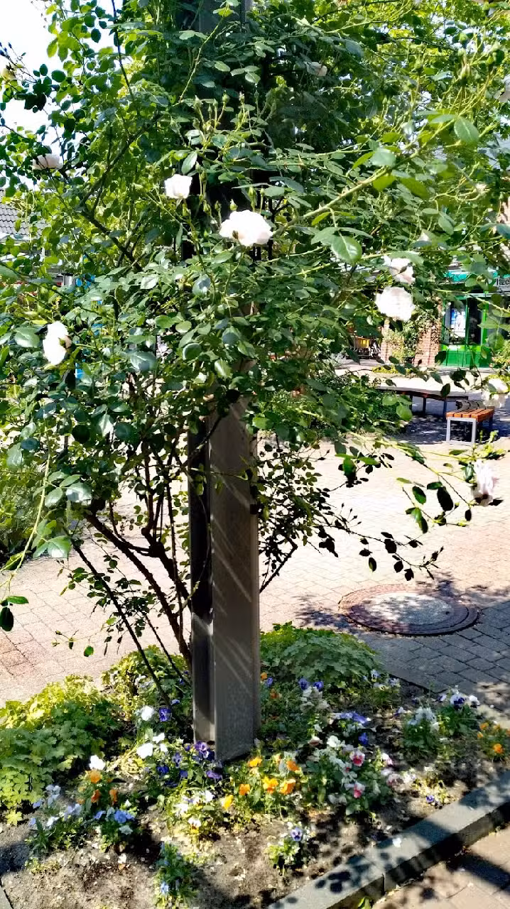 Rosenkilde Immobilien