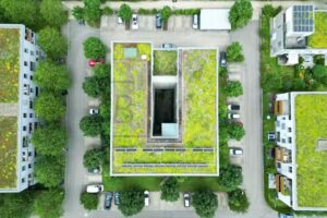 RPG BIRICH Immobilien