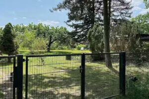 Rüdrich Immobilien | Immobilienmakler Pankow