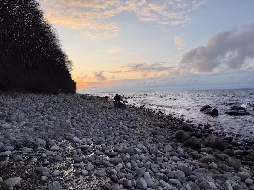 Rügener Zimmervermittlung