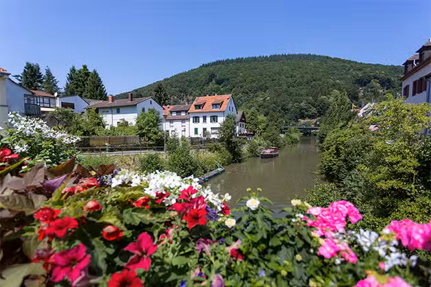 S-Immobilien Heidelberg GmbH – Filiale Neckargemünd