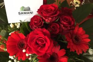 Samani Immobilienmanagement