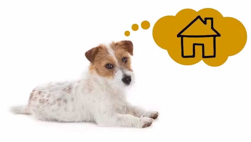 Sandburg Projekt GmbH