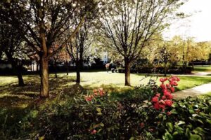 Schkeuditzer Wohnungsbau- und Verwaltungsgesellschaft mbH