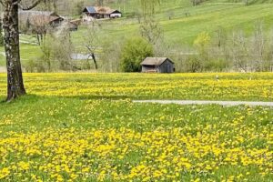 Schleifertobelhof Elke und Erwin Rudhart