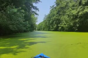 Schlüter Curt C. Grundstücksgesellschaft GbR