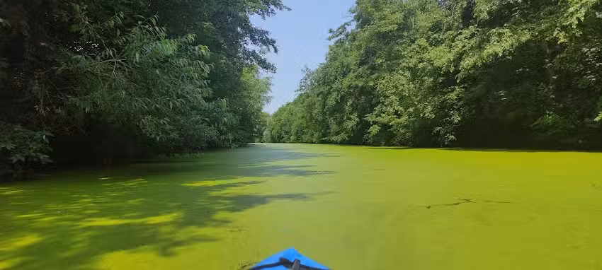 Schlüter Curt C. Grundstücksgesellschaft GbR