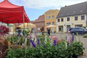 Schubert, Richard KG