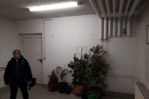 Schüssele Immobilien GmbH & Co. KG