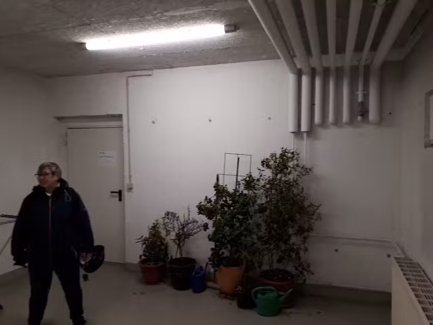 Schüssele Immobilien GmbH & Co. KG