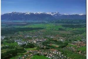 Schuster Immobilien und Baumanagement e.K.