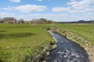 Schuster & Schuster-Prasuhn GmbH & Co. KG