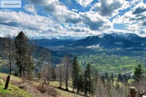 Schwimmer-Immobilien