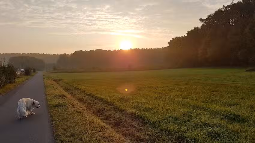 SEWO Immobiliengesellschaft mbH