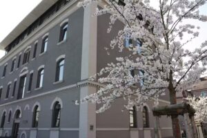 SFS GmbH & Co. Immobilien KG