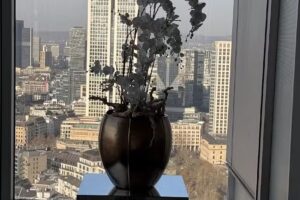 SG Immobilien-Consult