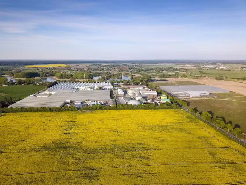 SL Schwanteland GmbH