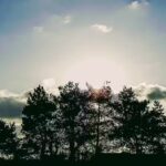 Sparkasse Spree-Neiße – Immobiliencenter