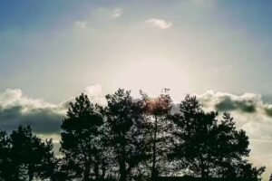 Sparkasse Spree-Neiße – Immobiliencenter