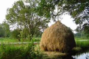 Spreewald Gästehaus – Karin Brandt