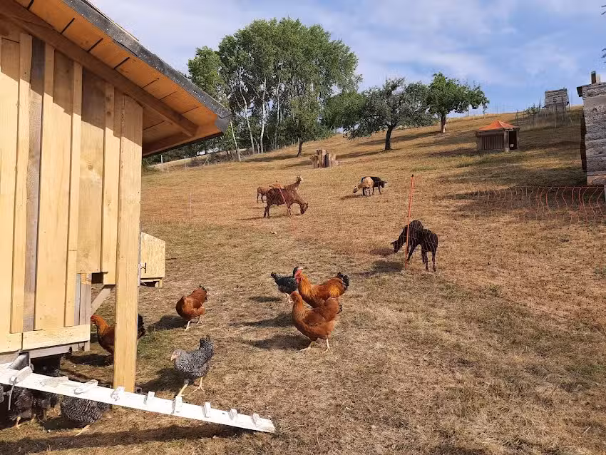 Steigerwälder-Zwergenhof