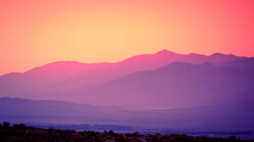 Stein Immobilien Claudia Stein