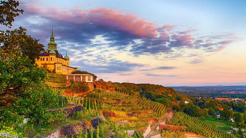 Steinrücken Immobilien