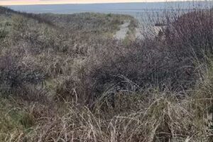 Strandkorbvermietung Spiekeroog