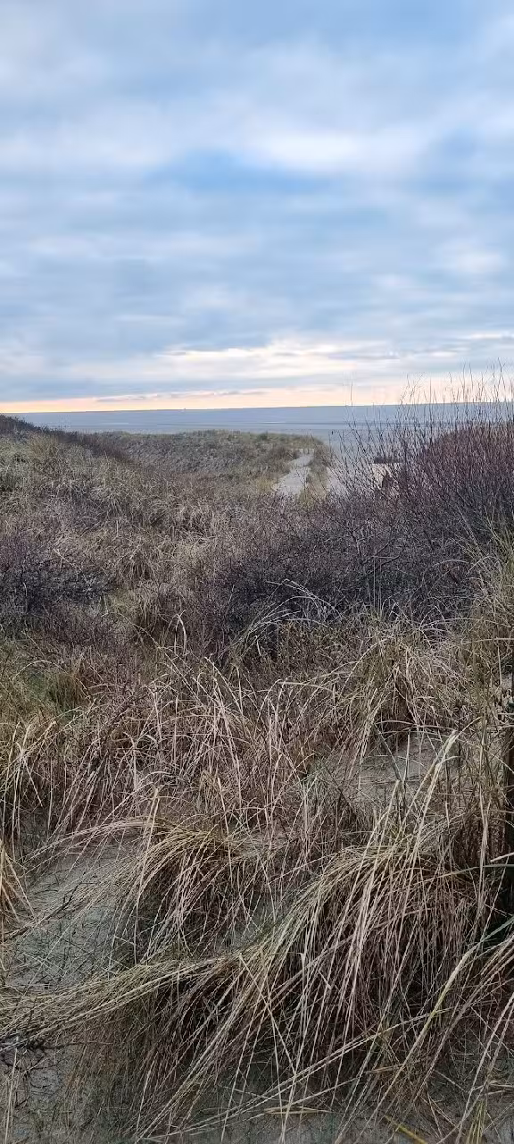 Strandkorbvermietung Spiekeroog