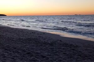 Strandläufer Warnemünde