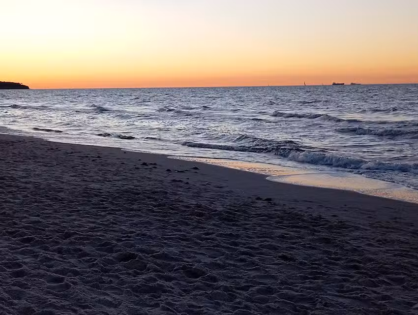 Strandläufer Warnemünde