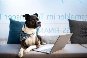 Strauss Financial Services Ihr Versicherungsmakler am Tegernsee Anlageberatung