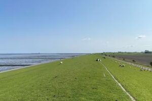 Süfke Hausverwaltung GmbH