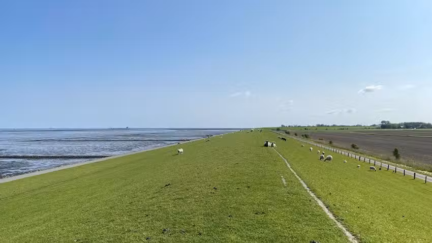 Süfke Hausverwaltung GmbH