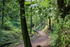 Suites MITTE APARTHOTEL EISENACH