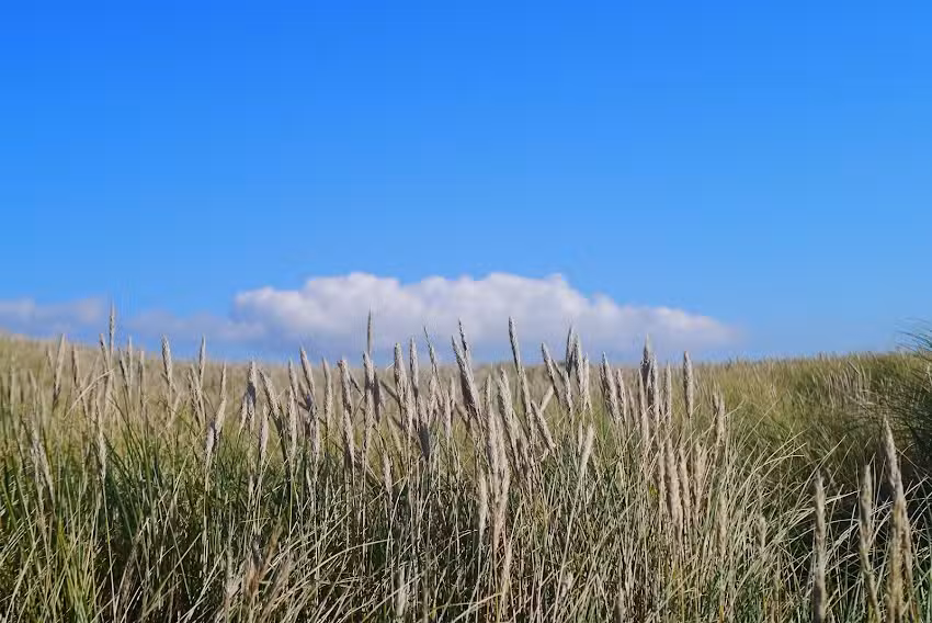 Sylt-ER GmbH Ferienwohnungen & Immobilien