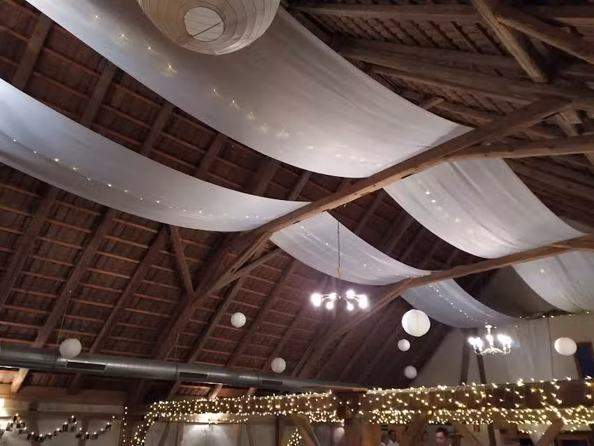 T. Müller Immobilienmakler