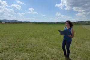 Telle Immobilien – Rottenburg am Neckar