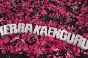 TerraKaenguru Immobilien GmbH