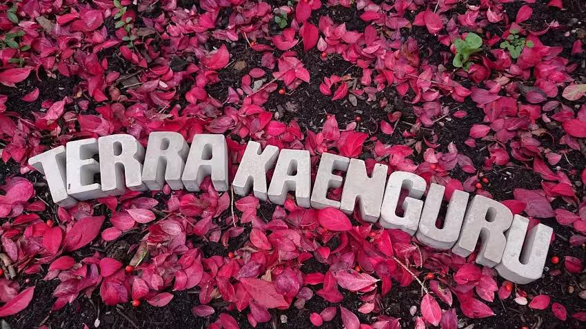 TerraKaenguru Immobilien GmbH