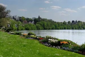 TESKE Immobilienbüro – Hausverwaltung – Maklerbüro – Immobilien – Bauträger