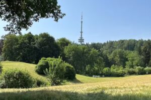 Teutoburger Immobilien GmbH