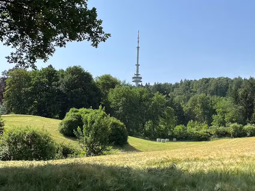 Teutoburger Immobilien GmbH