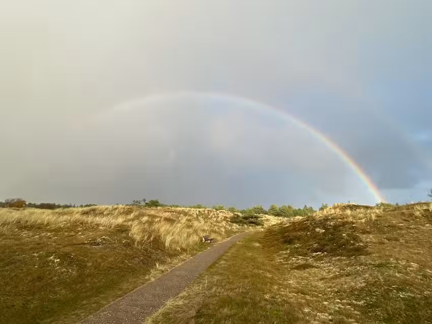 Theda Bieber Ferienvermittlung