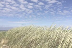 Thomas Berens und Sonja Pahnke-Berens GbR