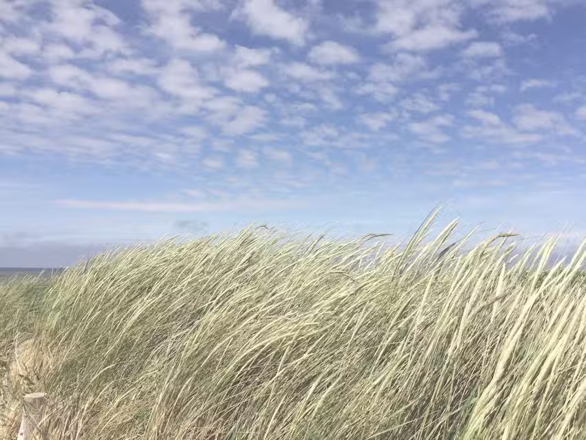 Thomas Berens und Sonja Pahnke-Berens GbR