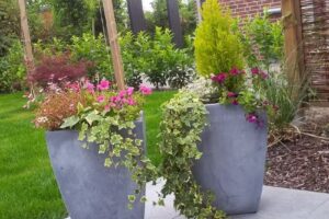 Thülsfelder Bungalow-Park